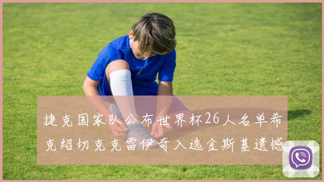 捷克国家队公布世界杯26人名单希克绍切克克雷伊奇入选金斯基遗憾落选