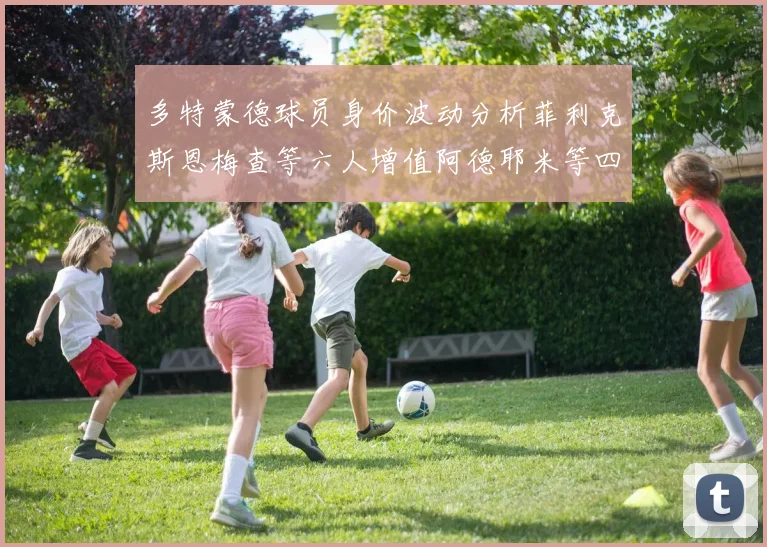 多特蒙德球员身价波动分析菲利克斯恩梅查等六人增值阿德耶米等四人贬值